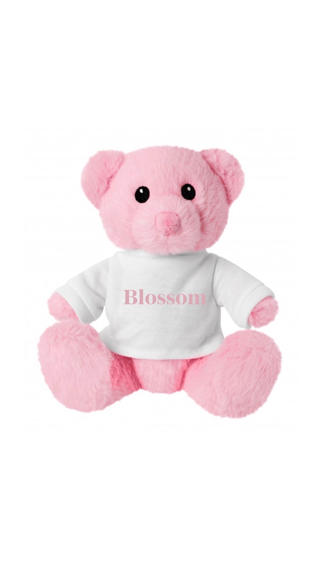 Pink T-Shirt Teddy